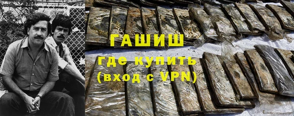 индика Медногорск