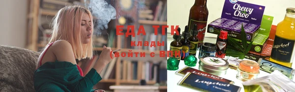 индика Медногорск