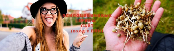 индика Медногорск