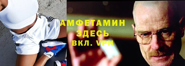 индика Медногорск