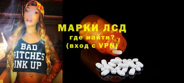 индика Медногорск