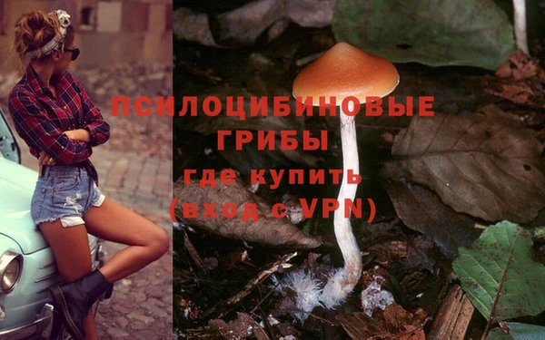 марки lsd Михайловка