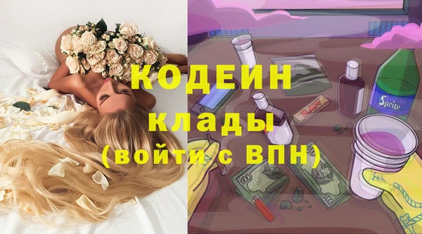 индика Медногорск
