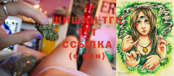 гашик Дубовка