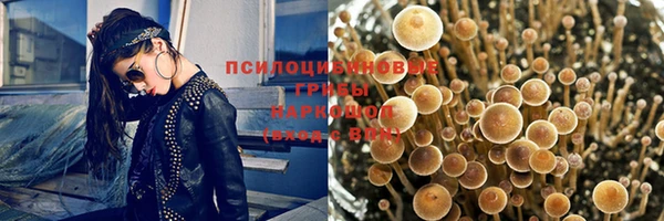 a pvp Медвежьегорск