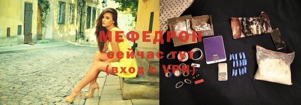 индика Медногорск