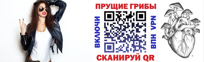 MEGA tor  Назарово  Псилоцибиновые грибы GOLDEN TEACHER  купить наркотик 
